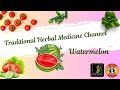 Traditional Herbal Medicine around Us: Watermelon