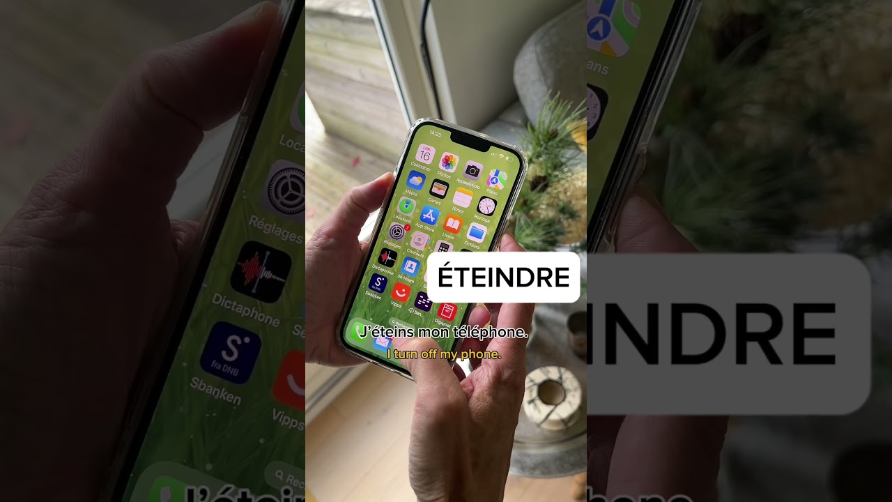 Essential French verbs for your smartphone 📱