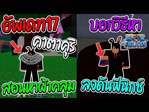 Roblox Bloxfruits สอนหาของในอัพเดทใหม่ทั้งหมด!! บอกวิธีลงดันฟินิกซ์!!