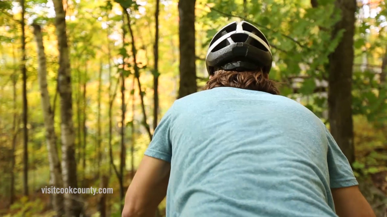 Visit Cook County Fall Leaves