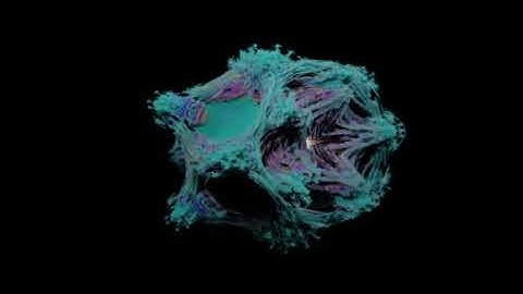 Blender mandelbrot 3D animation