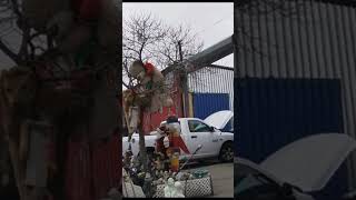 HUNTS POINT BRONX NEW YORK
