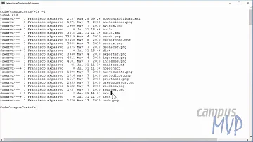 ¿Cómo se usan los paquetes en Java?