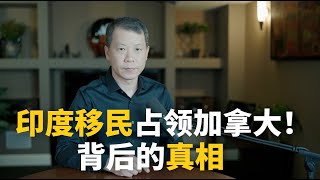 印度移民占领加拿大背后的真相