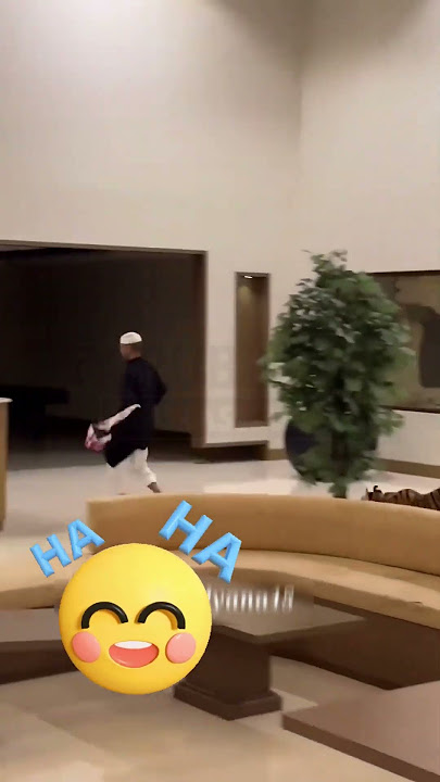SULTAN ARAB DAN DUBAI PELIHARA HEWAN BUAS !! SIMBOL DARI KEKAYAAN