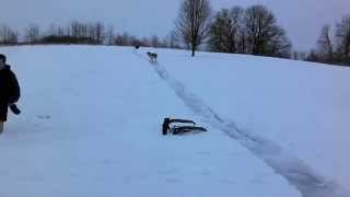 sledding fails 2015