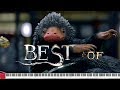 Zby au piano  top 9 des musiques des animaux fantastiques  tribute