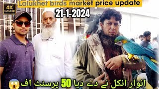 parrots price decreased in 21-1-2024 l Lalukhet birds market l Bidding \& pice in Urdu \/Hindi#birds