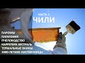 Чили, ч.3: начало Патагонии, пчеловодство, термальные ванны, Карретера Аустраль