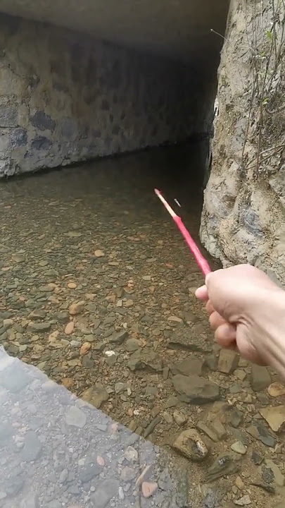 mancing ikan di bawah jembatan