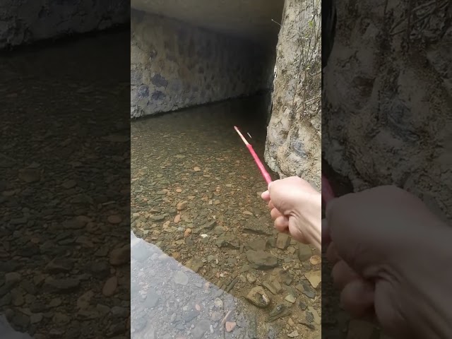 mancing ikan di bawah jembatan class=