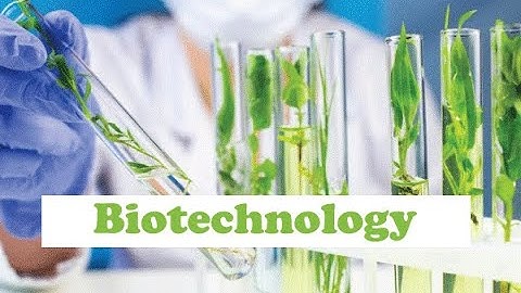 Biotechnology Mini Lecture (32 Minutes)