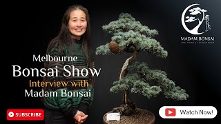 Madam Bonsai Show Interview Day 1