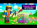 Minecraft But You Have Super OP ORES 