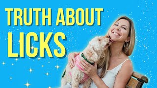 5 HIDDEN Messages Your Dog's Licks Are Trying to Tell You🤔 by Dog Breeds FAQ Channel 1,793 views 2 weeks ago 6 minutes, 12 seconds