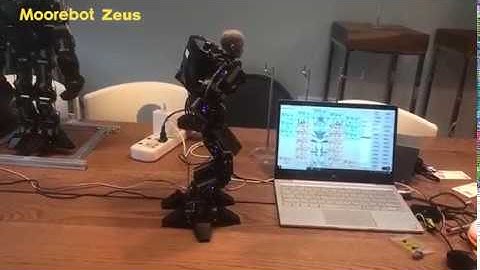 Moorebot Zeus Battle Robot Yoga Master