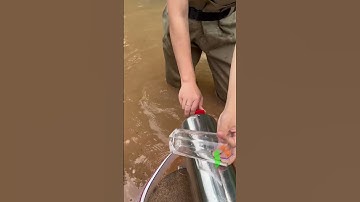 Lọc nước PVDF Bình lọc Inox, Lọc nước sinh hoạt, Công nghệ lọc nước sạch hiện đại