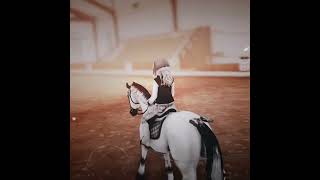 Re-using audio's P1 || SSO EDIT || #lore #sso #edit #horse #goviral #fypシ゚ #blowup #fyp #equestrian