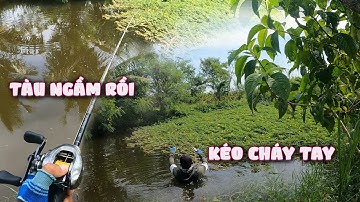 Cá táp mồi như PHÁO NỔ, dính luôn TÀU NGẦM cả nhà nghe đoán thử nó to bao nhiêu #thuytrieuxoay 405