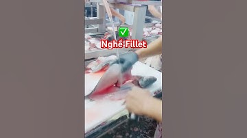 @thuysanwork ✅ Xem cách #Fillet Cá Tra của công nhân thủy sản Miền Tây #filletcatra #catramientay