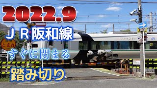 踏切 JR阪和線 堺市内 - Railroad crossing JR Hanwa Line in Sakai City Japan 2022.9