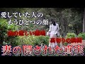 【裏切りの愛妻弁当】探偵が捉えた妻と不倫相手の“ランチ密会”