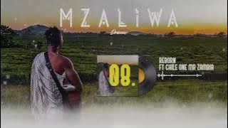 DRIEMO ft CHILE ONE MR ZAMBIA - REBORN ( Audio Visualizer)#Mzaliwa