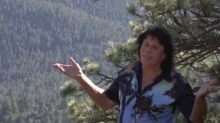 Kriya Yoga and the Bliss Technique by John McKenna