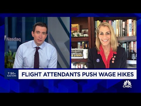 Flight attendants haven't seen a significant pay raise in a long time: Union President Sara Nelson Episode cover