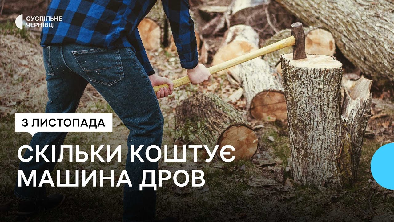 Щодня купують понад 50 людей: скільки коштують дрова у Чернівецькій області та як купити офіційно