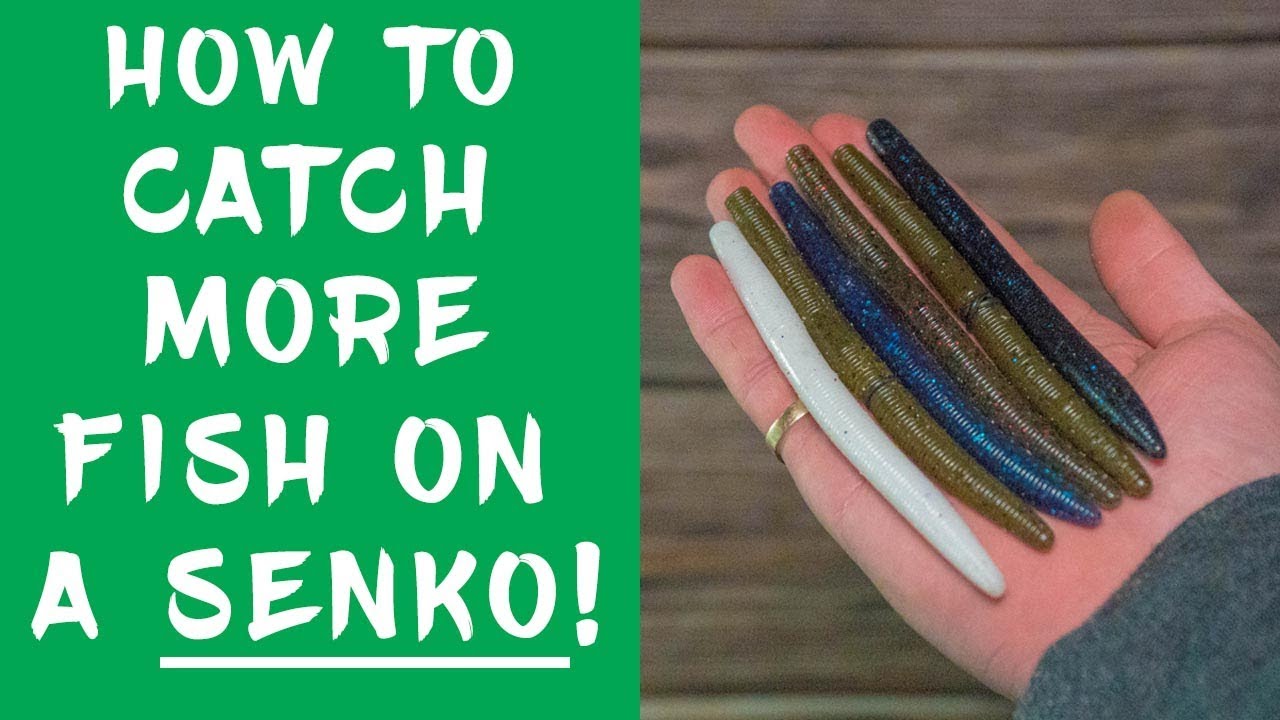 BEST Ways to Rig a SENKO!- How to Fish a Senko 