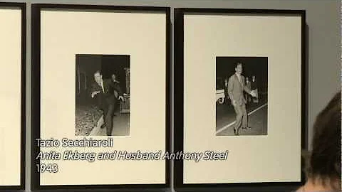 Sandra Phillips on Celebrity  Exposed at Tate Modern