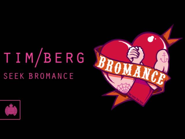 Tim Berg - Seek Bromance Avicii's Vocal Edit