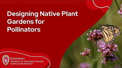 Designing Native Plant Gardens for Pollinators