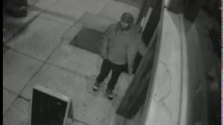 Clinton Hill Grand Larceny Pattern