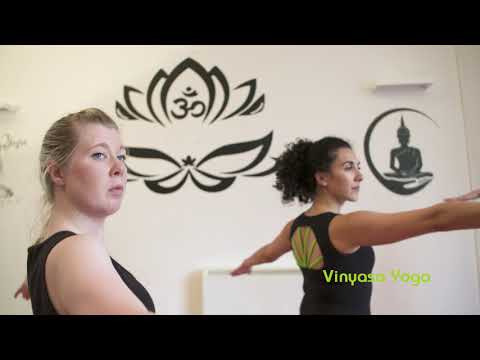 MyBody Studios - The North East's Premier Venue for Holistic Fitness and Wellbeing