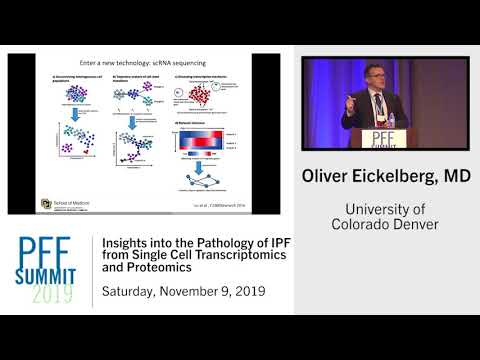 Insights into the Pathology of IPF from Single Cell Transcriptomics | Oliver Eickelberg, MD