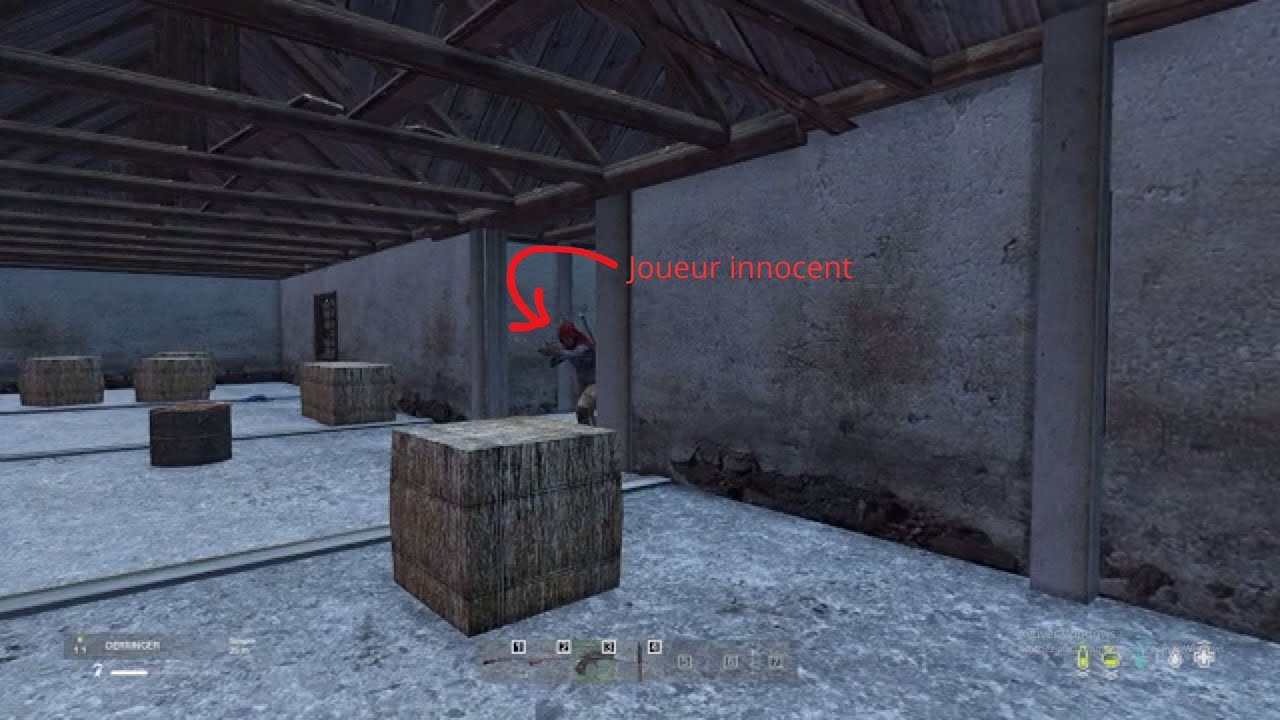 Petite survi pour rigoler #dayz