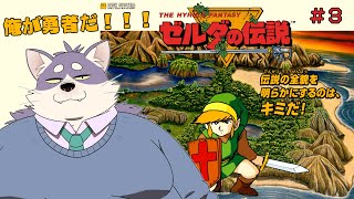 【初見プレイ】お金も無ければ情報もない。世知辛い世界だ。【ゼルダの伝説】