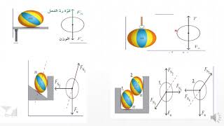 الصف الحادي عشر - الفيزياء -  مخطط الجسم الحر