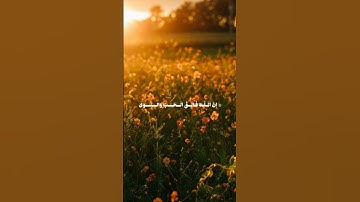 | قرآن كريم راحة نفسية |🌝🕋اللهم انصر اهلنا في فلسطين وغزة 🇵🇸🤍#قرآن #فلسطين_حرة #راحة_نفسيه