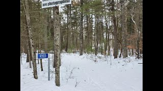 N903 Resewood Ave., Hatfield, WI 54754