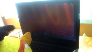 What Happens If Videffects Hd Watches Perimaunt Vhs In Stjs G Major My Version