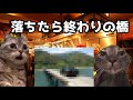【猫ミーム】危ない橋を渡る!?一番大変な地方の葬儀社!?葬儀社にアルバイトとして勤めていたお話その73