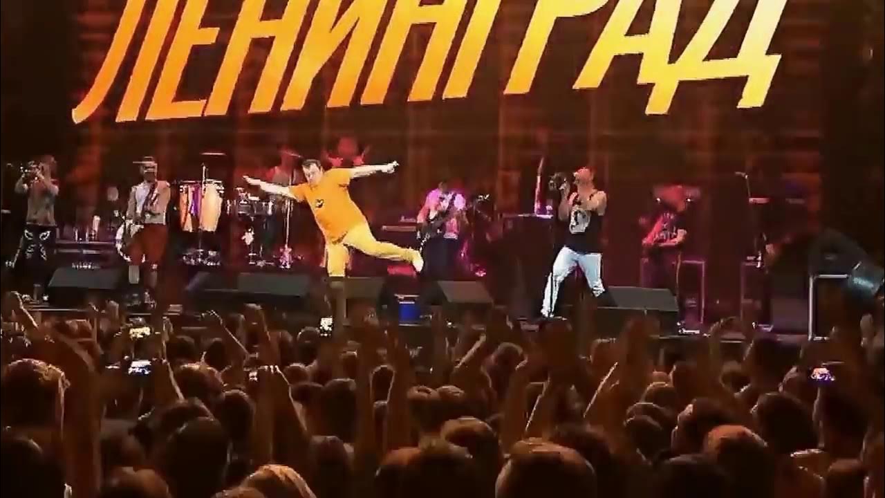 Ленинград обезьяна. Обезьяна и орел ленинград. Обезьяна и орел ленинград. Обезьяна и орел ленинград. Обезьяна и орел ленинград клип.