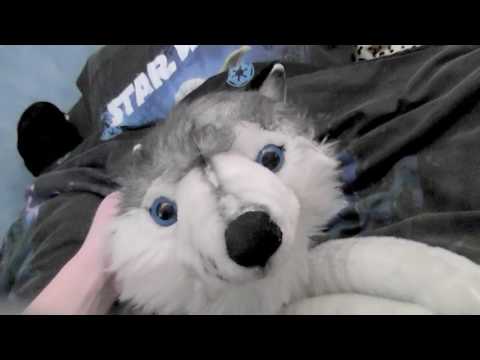 big husky plush