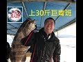 [新手釣魚佬] 2018年3月13日 高手在港水上30斤大青班