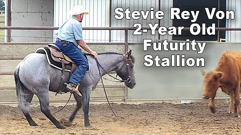 For Sale: 2-Year Old Futurity Stallion By Stevie R...