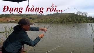 Fishing rod to catch SUPER HEALTHY NATURAL carp | Natural fishing rod P16 | 6-12-2022