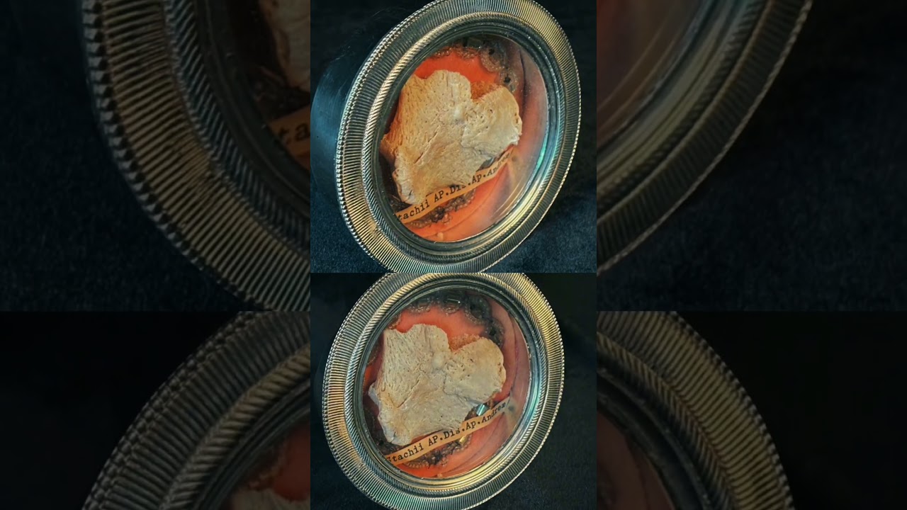 Relics of St. Stachy, Apostle from 70 